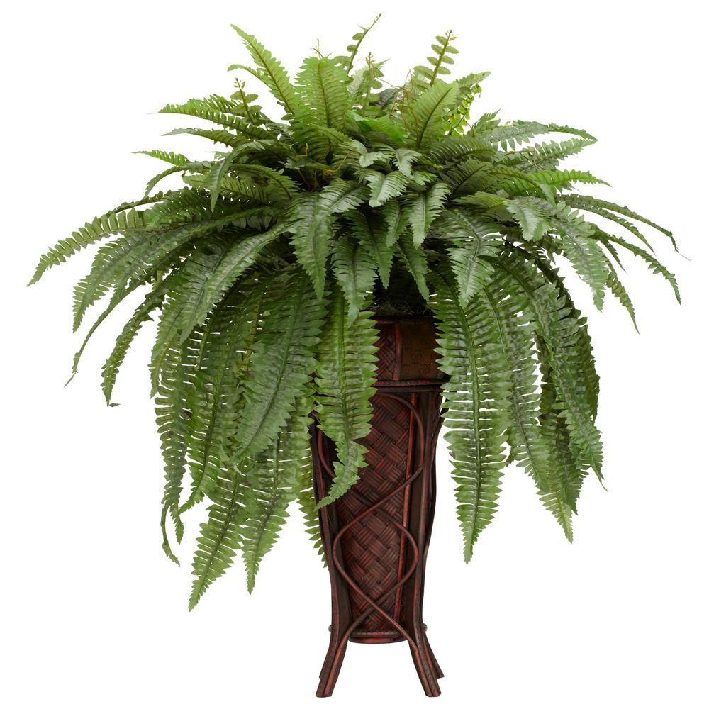Fern Planters Ideas for Adding Greenery to Your Space
