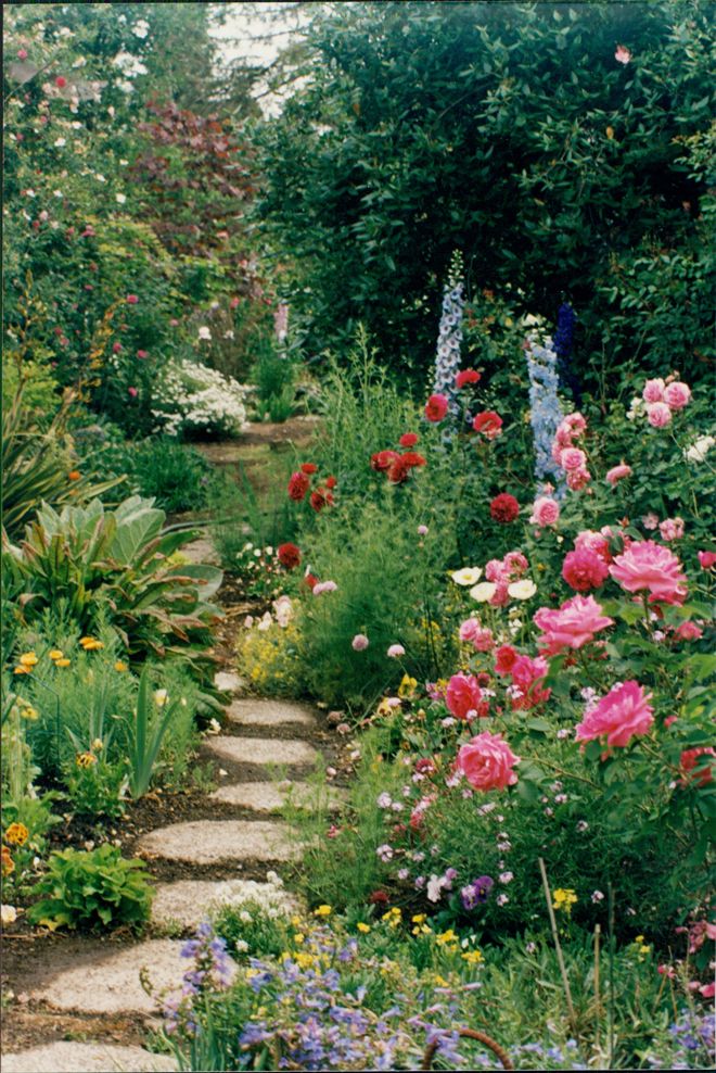 Flower Garden A Beautiful Haven of Colorful Blooms to Brighten Your Day