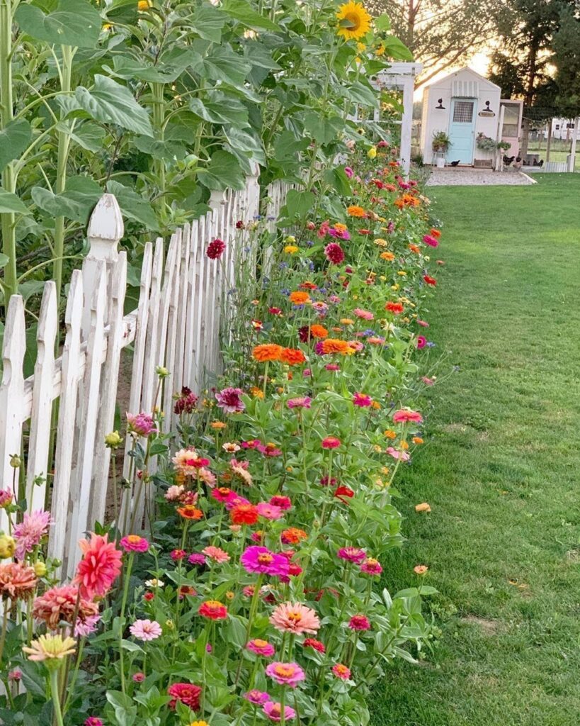 Flower Garden