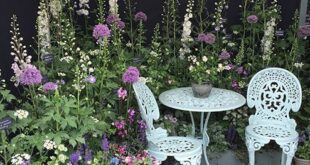 Flower Garden Ideas