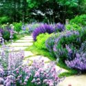 Flower Garden Ideas