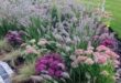 Flower Garden Ideas