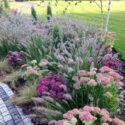 Flower Garden Ideas