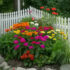 Flower Garden Ideas