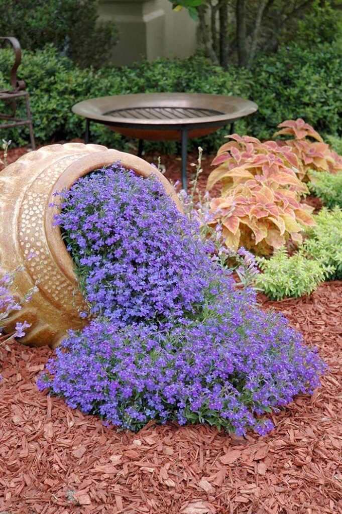 Flower Garden Ideas