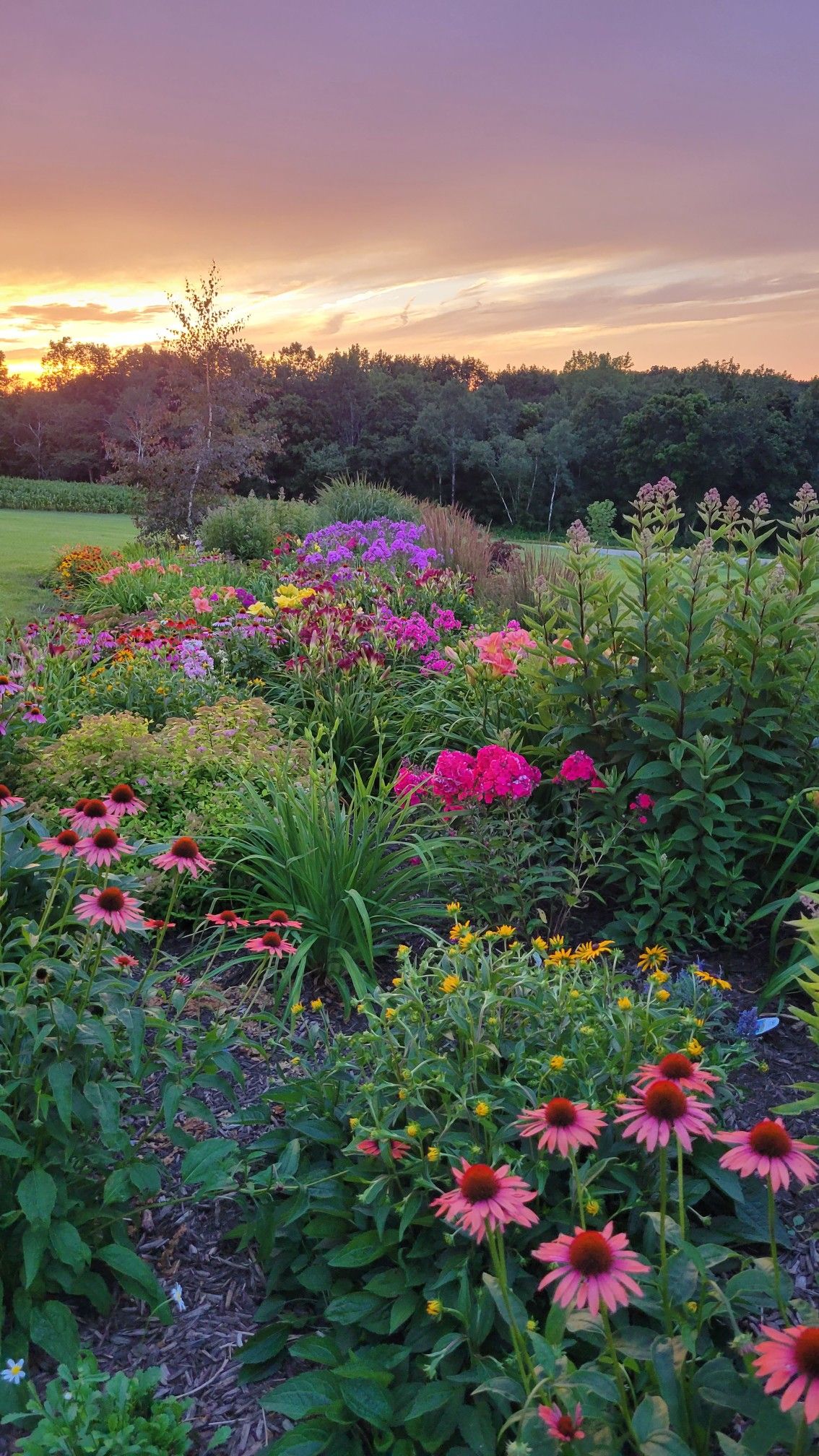 Flower Garden: Tips for Creating a Beautiful Outdoor Oasis