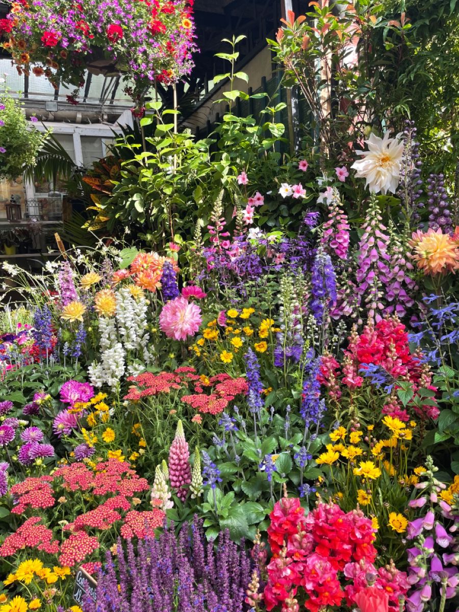 Flower Garden idea for your backyard