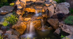 Fountains Backyard