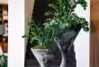 Front Door Planters