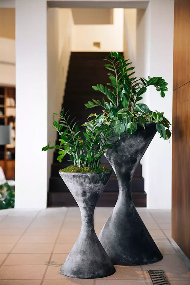 Front Door Planters How to Enhance Your Home Entrance with Beautiful Greenery