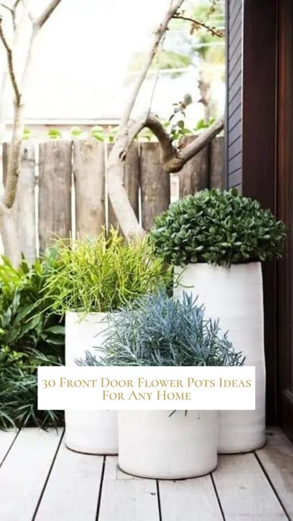 Front Door Planters