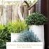 Front Door Planters