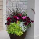 front porch flowers