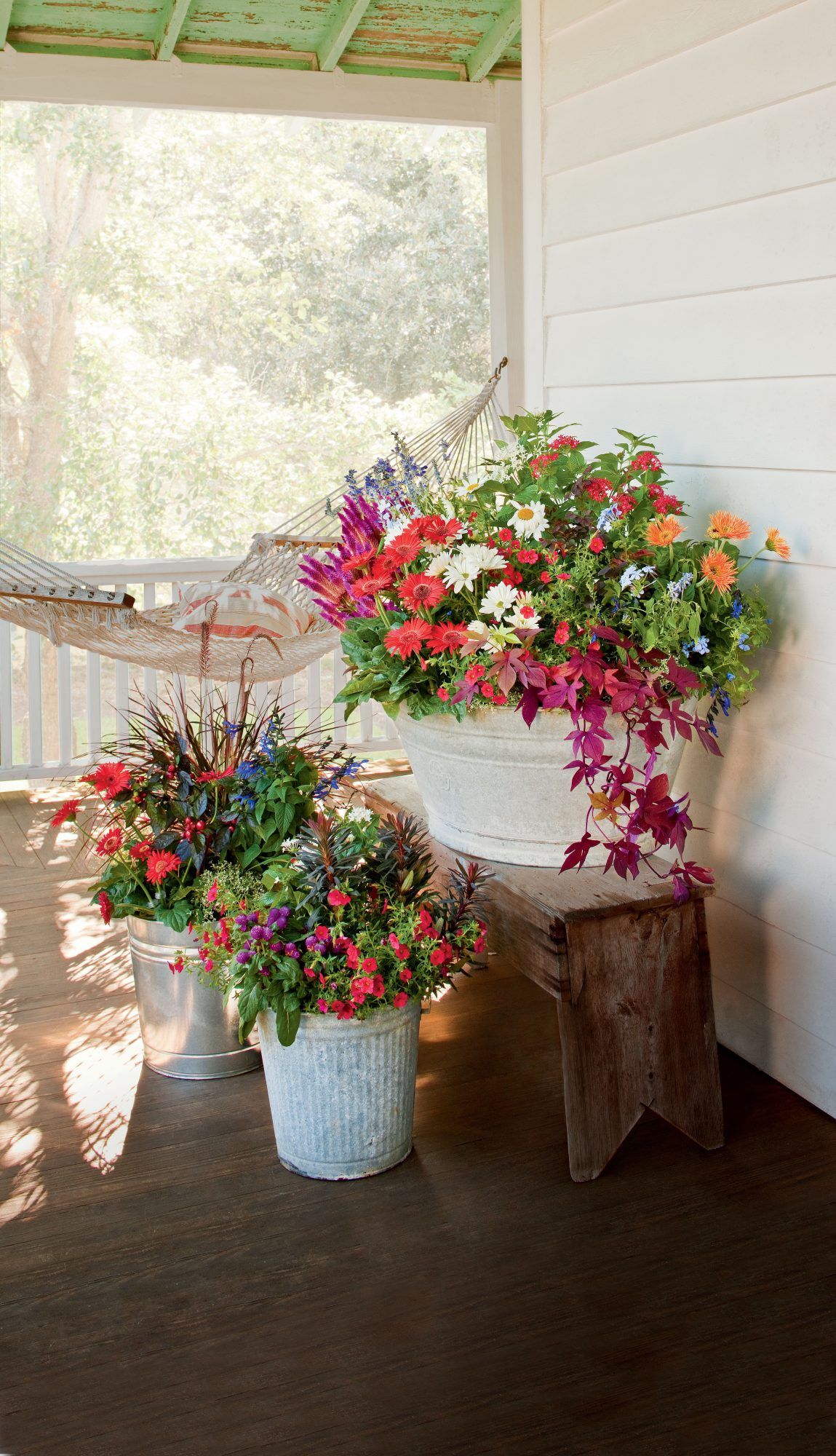 Front Porch Flowers: A Guide to Beautifying Your Entryway