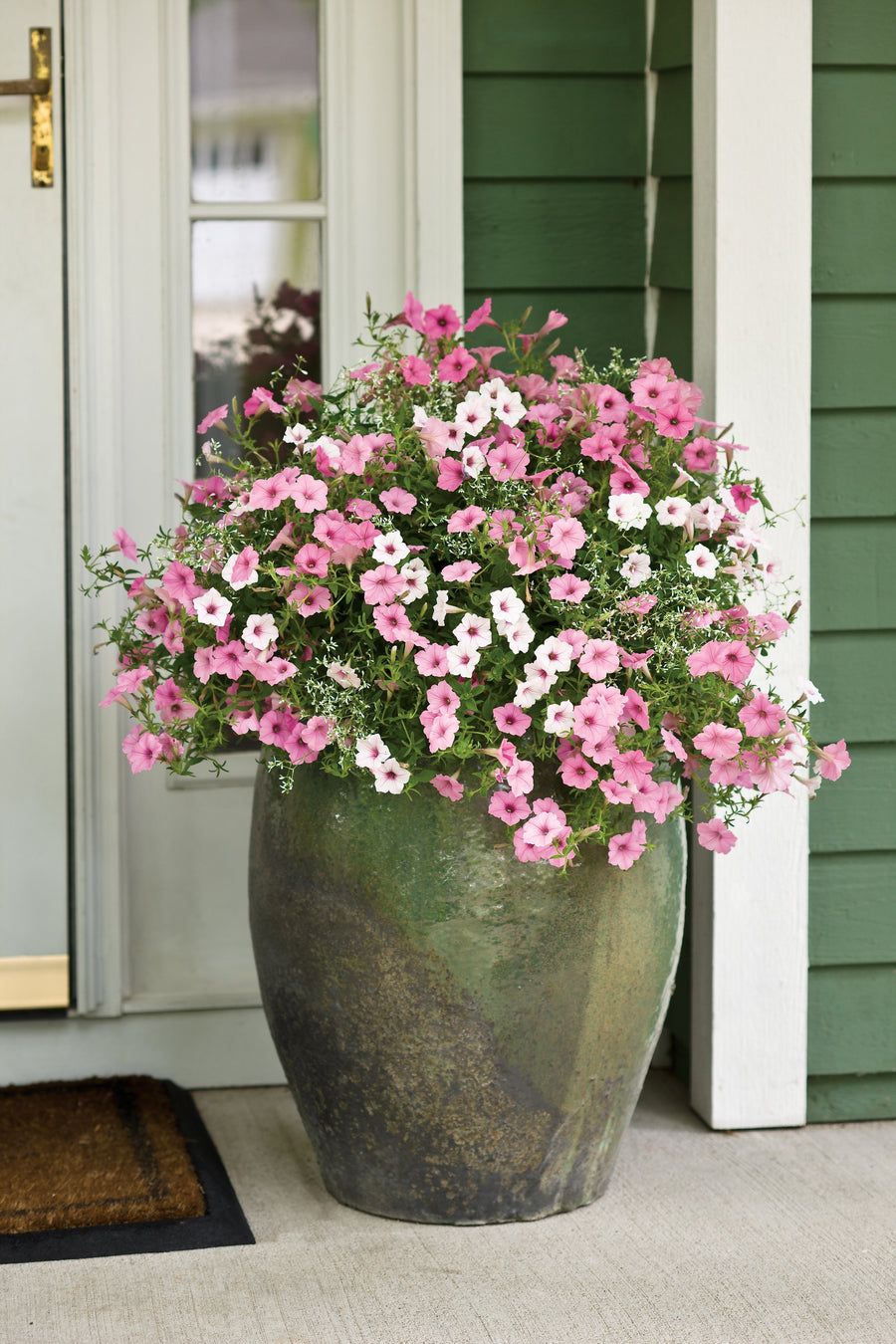 Front Porch Flowers Creating a Warm Welcome with Beautiful Blooms for Your Entryway