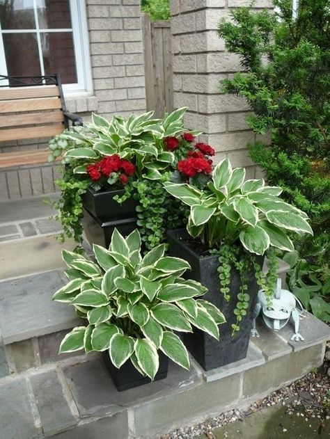 Front Porch Flowers