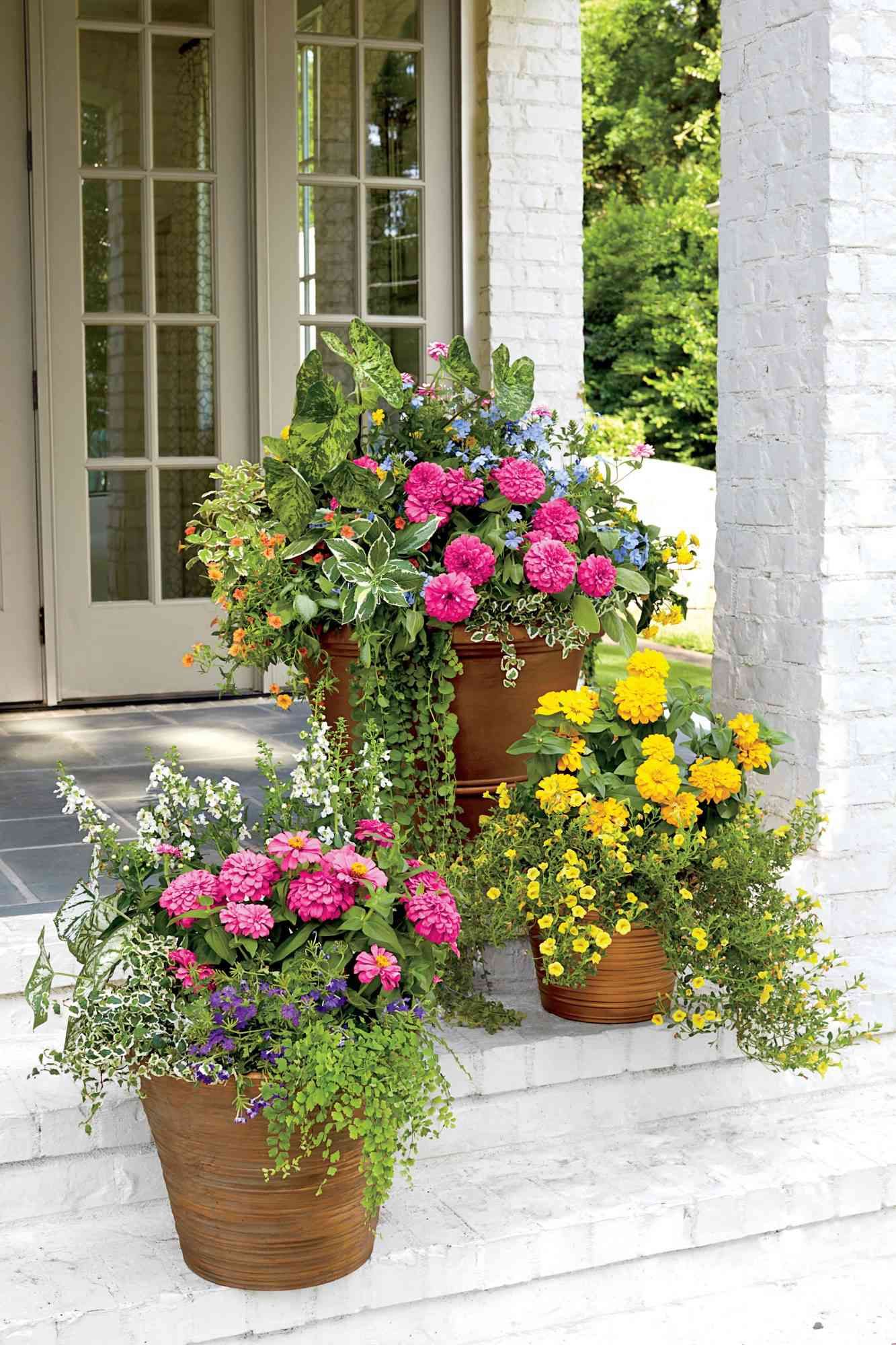 Front Porch Flowers “Spruce Up Your Front Porch with Beautiful Blooms: A Guide to Front Porch Flowers”