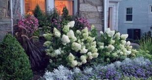 Front Porch Flowers