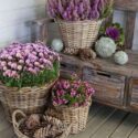 Front Porch Planters