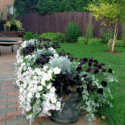 Front Porch Planters