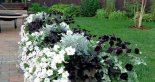 Front Porch Planters