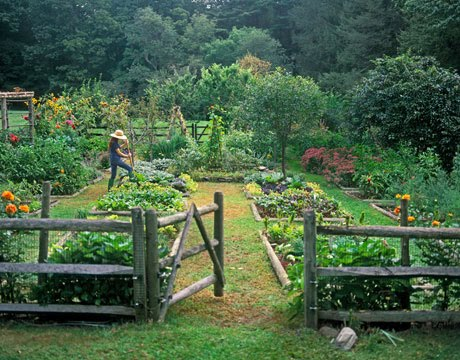 Garden Aesthetic How to Create an Outdoor Oasis