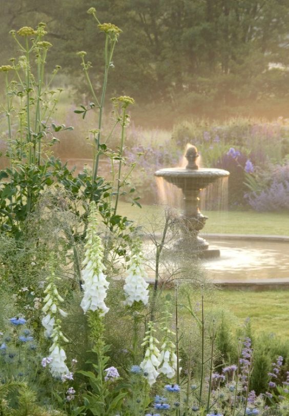 Garden Aesthetic How to Transform Your Outdoor Space into a Stunning Oasis