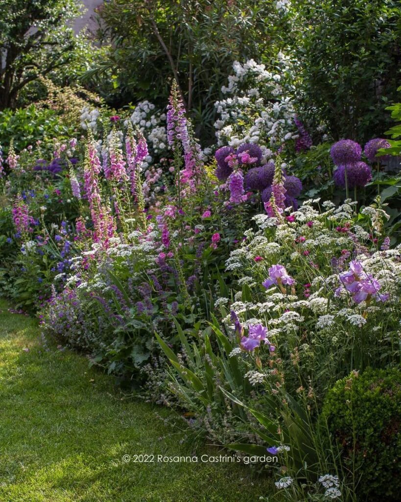 Garden Borders