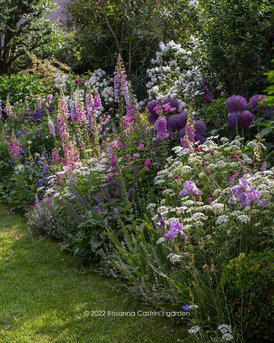 Garden Borders 10 Creative Ideas for Defining Your Garden’s Edges