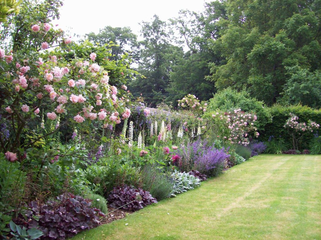 Garden Borders