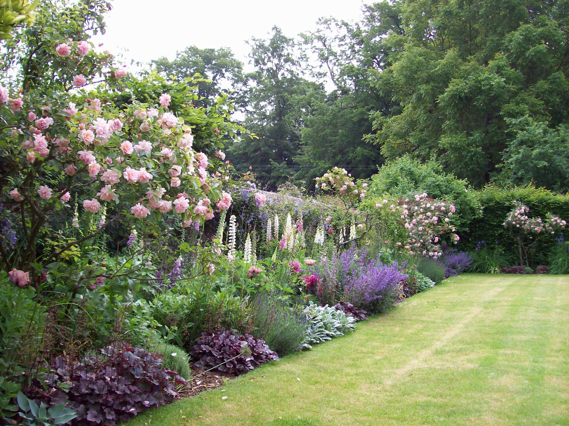 Garden Borders Creating Beautiful Borders for Your Garden