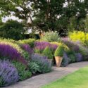 Garden Borders