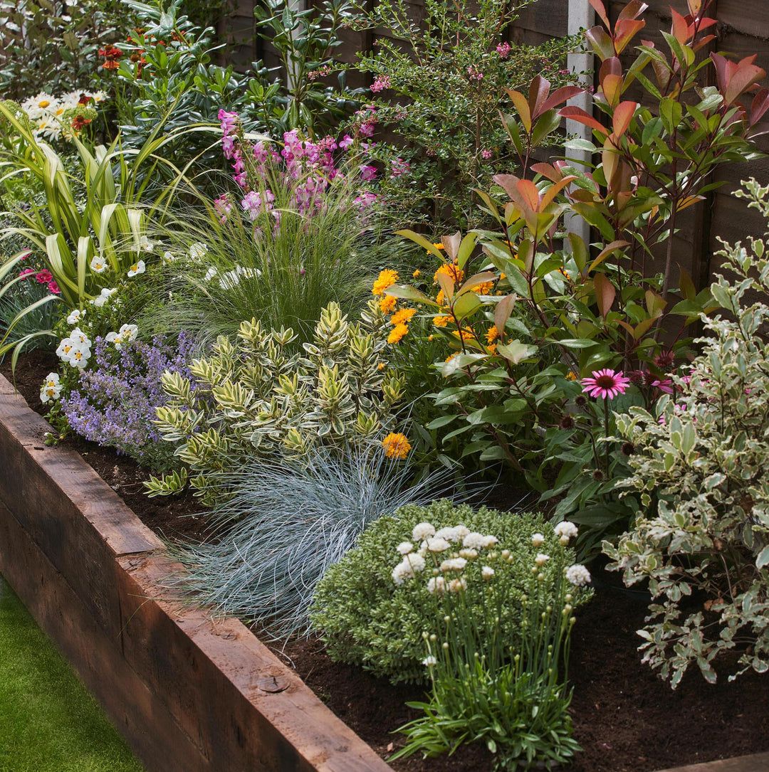 Garden Borders Creating Beautiful Edges for Your Garden with Plants and Flowers