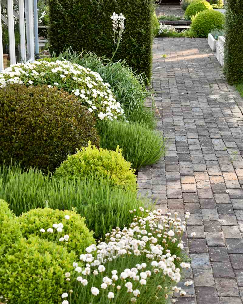 Garden Borders