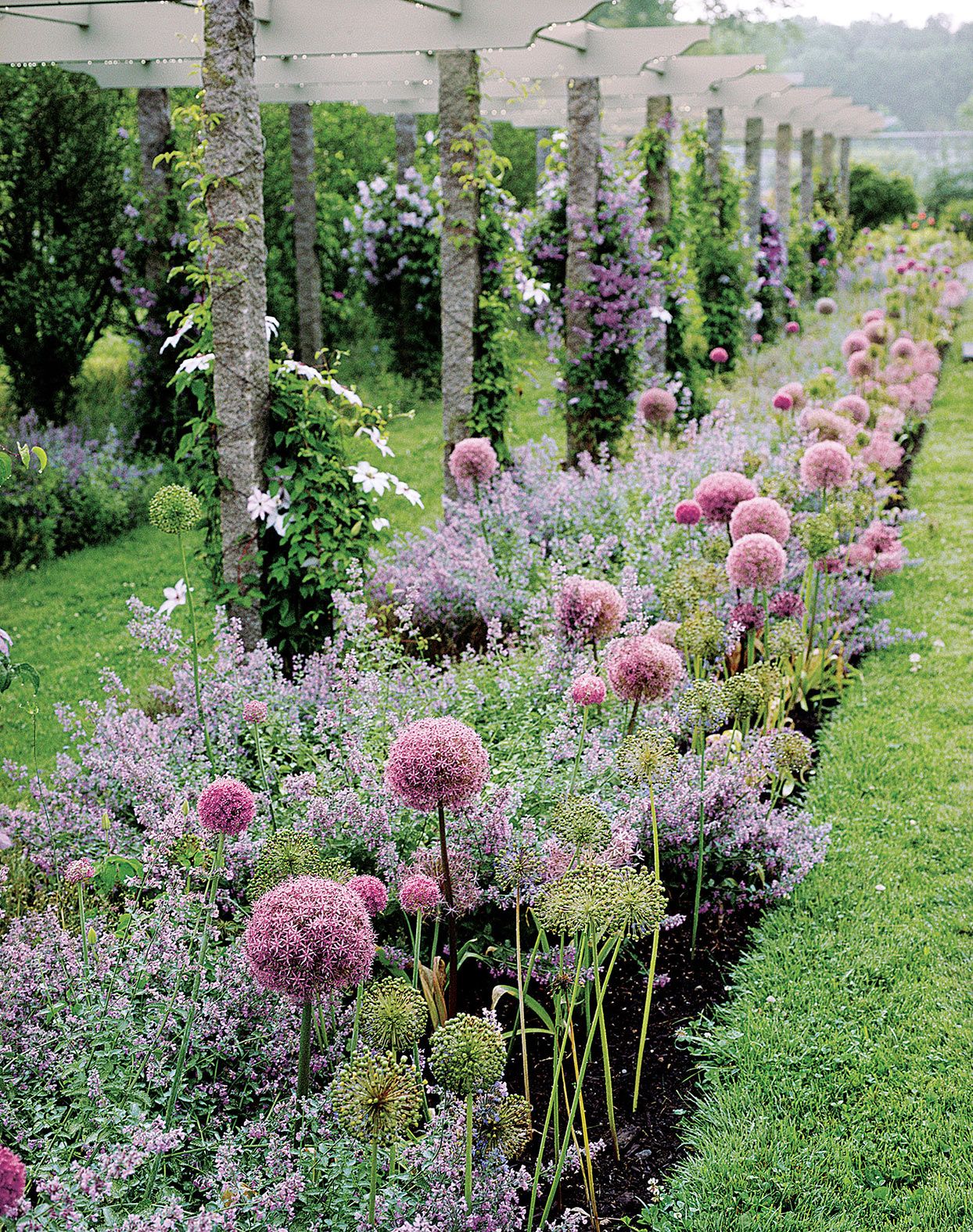 Garden Borders Creative Ways to Define Your Garden’s Edges