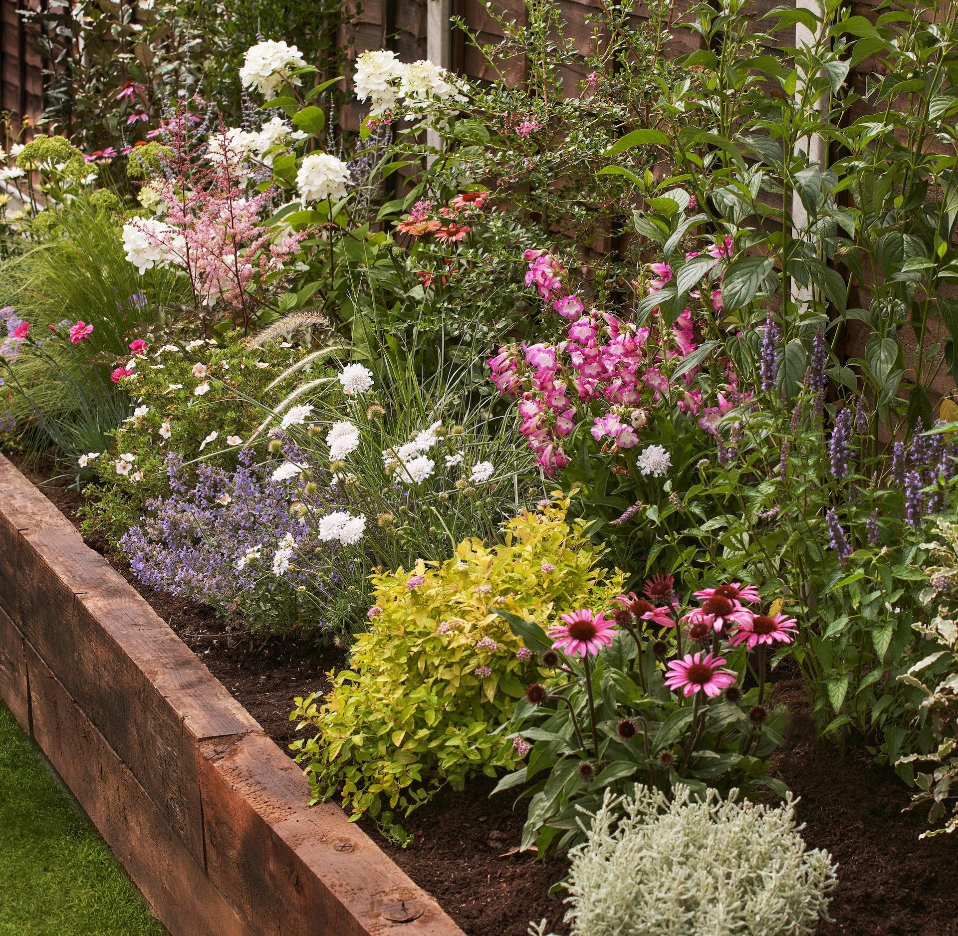 Garden Borders Enhance Your Garden with Beautiful Edging Ideas