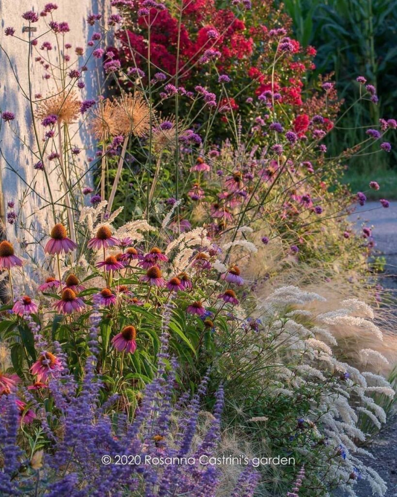 Garden Borders