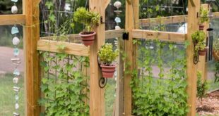 Garden Fence Ideas