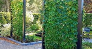 Garden Fence Ideas