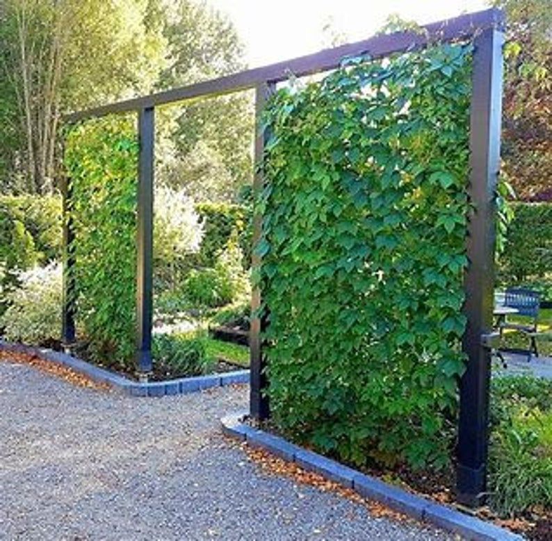 Garden Fence Ideas Creative Ways to Enhance Your Garden Borders