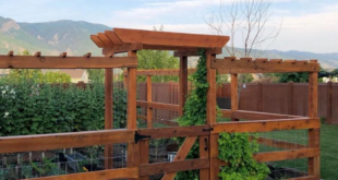 Garden Fence Ideas