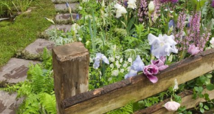 Garden Fence Ideas