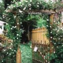 Garden Fence Ideas