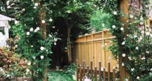 Garden Fence Ideas