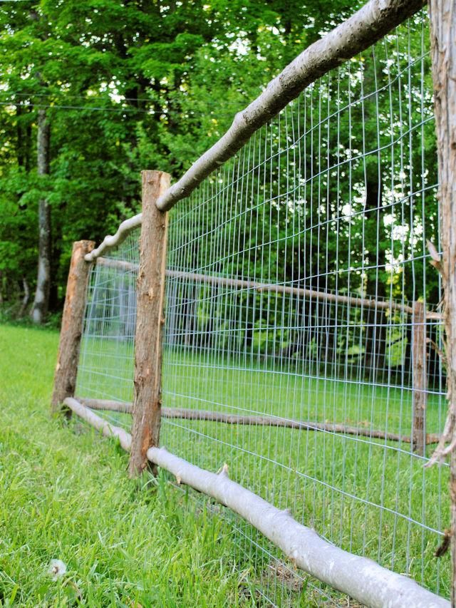 Garden Fence Ideas to Enhance Your Outdoor Space