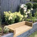 Garden Ideas