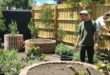 Garden Ideas