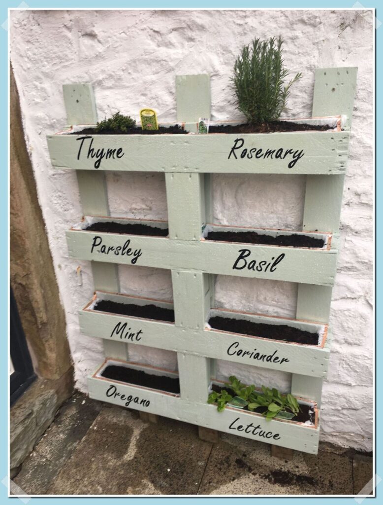 Garden Ideas