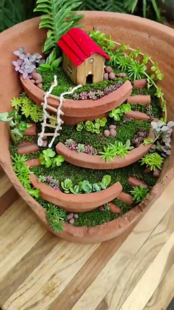 Garden Ideas