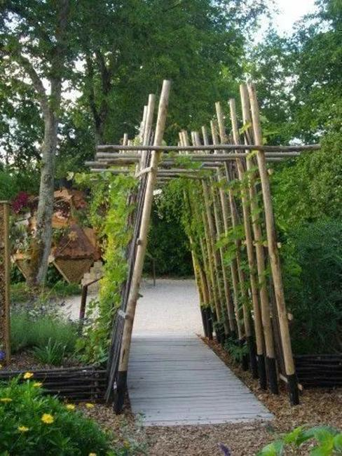 Garden Projects How to Create a Sustainable Backyard Oasis